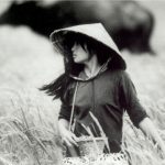 天与地(1993)– 经典英文台词、英语剧本原文翻译、中英文字幕对照