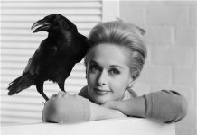 《群鸟(1963)》–经典英文台词、英语剧本原文翻译、中英文字幕对照